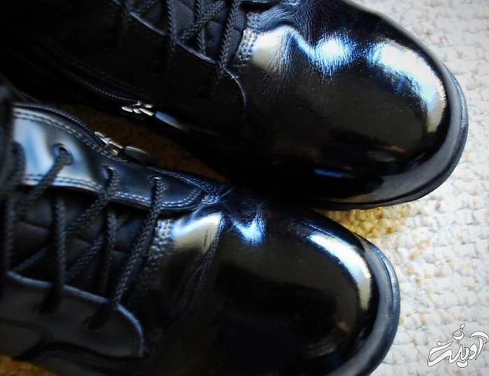 کاربرد روغن زیتون در زندگی مزایای روغن زیتون